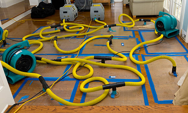 Professional Structural Drying And Dehumidification technician working in Winchester, VA